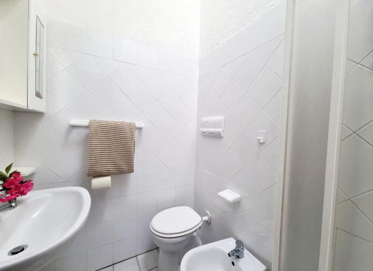 Shower, Bathroom, bidet