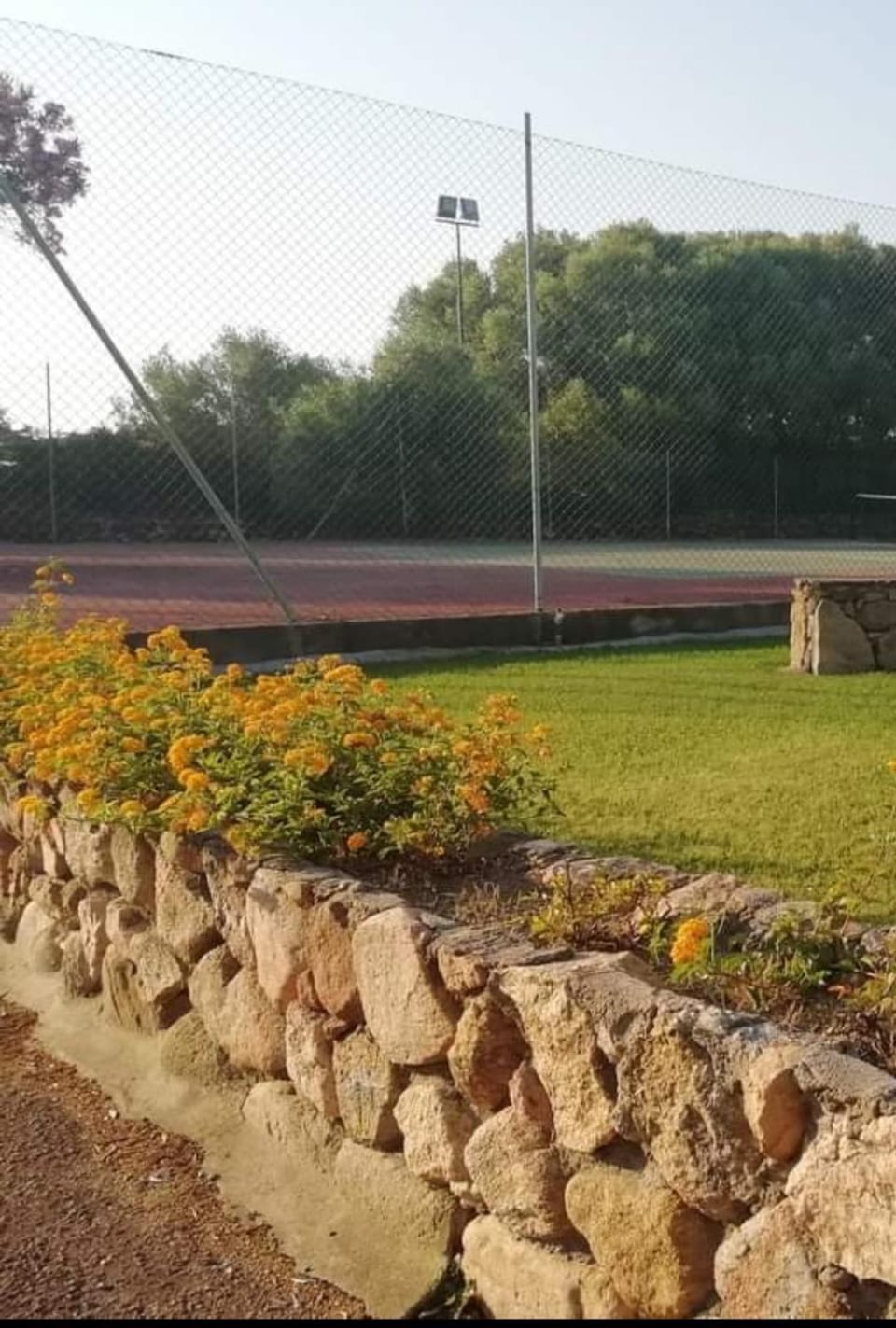 Tennis court
