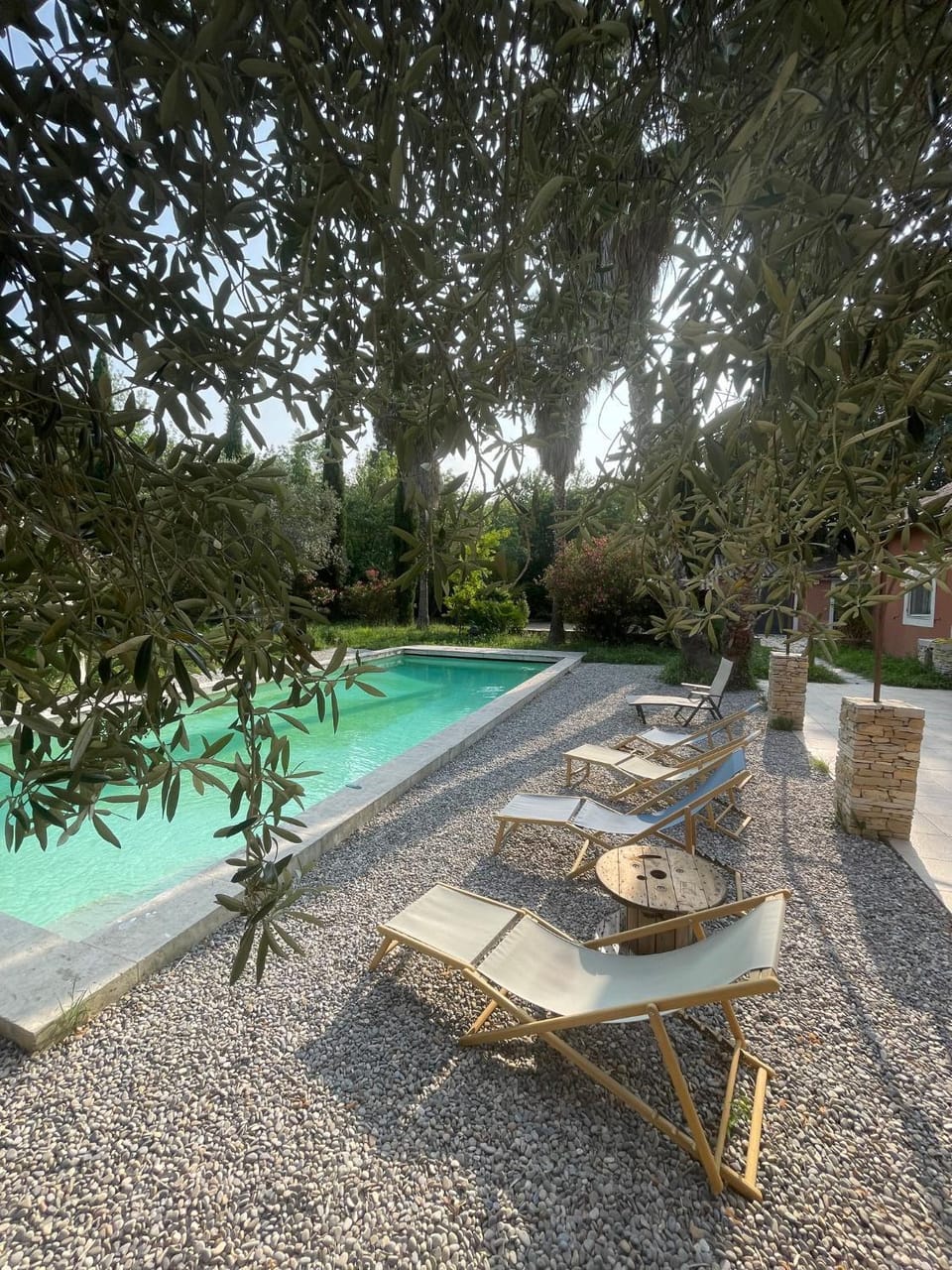 Garden, Swimming pool, sunbed