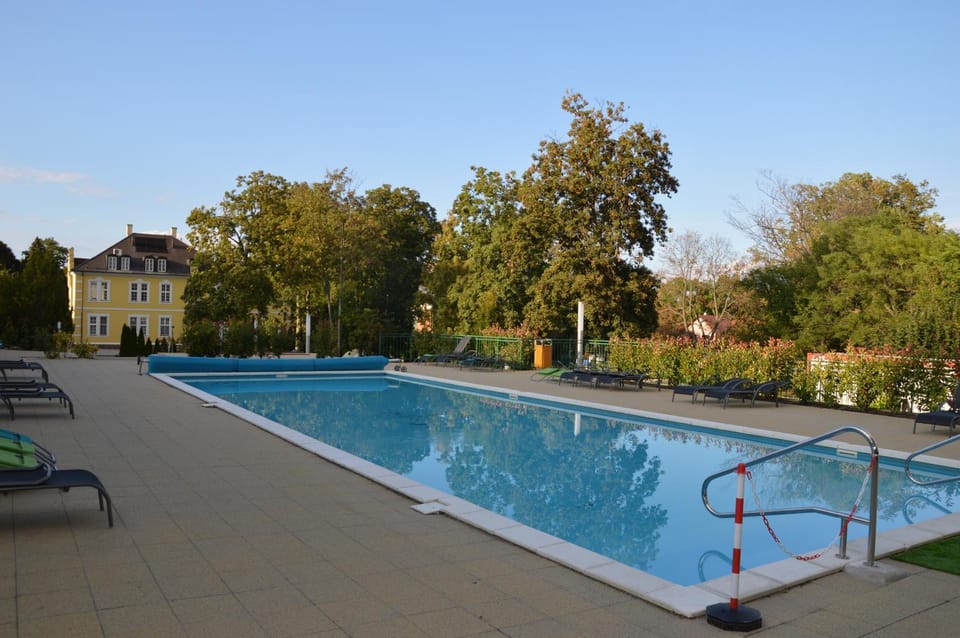 Day, Swimming pool, sunbed