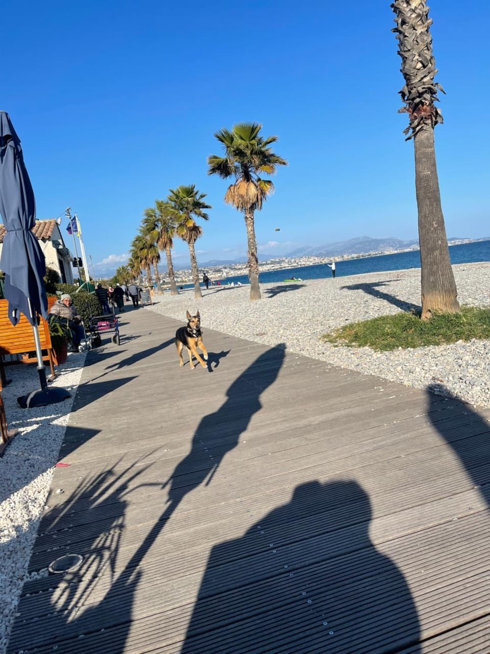 VILLENEUVE LOUBET PLAGE- Entre NICE et CANNES Apartment in Villeneuve-Loubet
