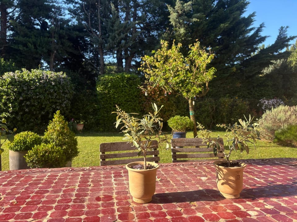 Garden view