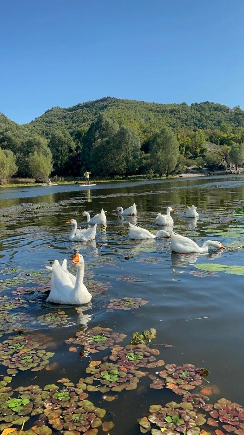 Casa di Kiara, Skadar Lake House in Podgorica Municipality, Montenegro