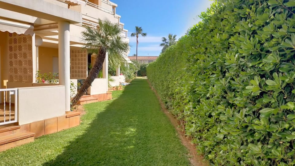Off site, Garden