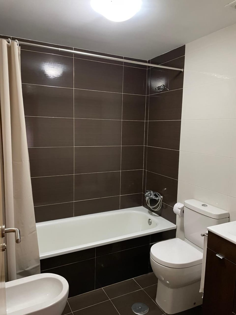 Bathroom, Bath, bidet