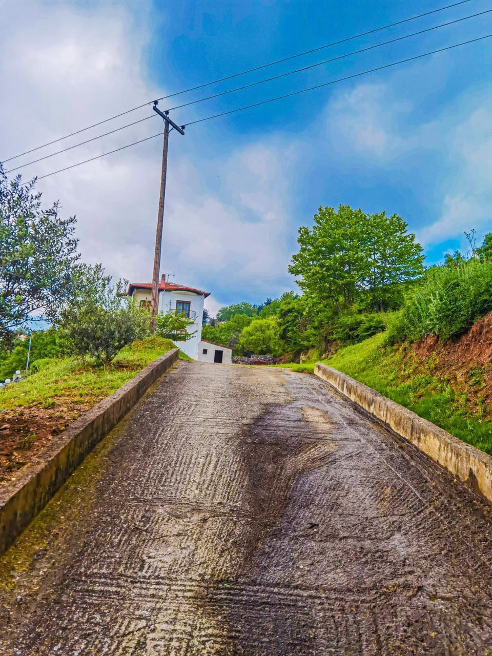 Spring, Day, Neighbourhood, Natural landscape