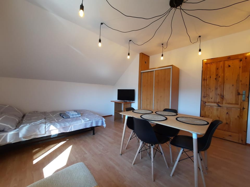 Bed, TV and multimedia, Living room, Photo of the whole room, Seating area, Dining area, Evening entertainment, Bedroom, hair dresser, wardrobe