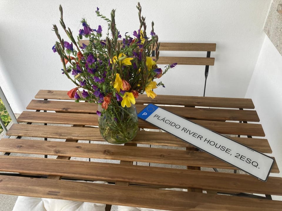 PLACIDO RIVER HOUSE APARTAMENTO Apartment in Viana do Castelo District, Portugal