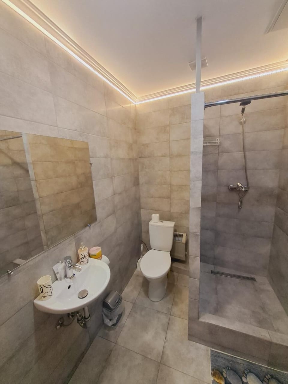 Shower, Toilet