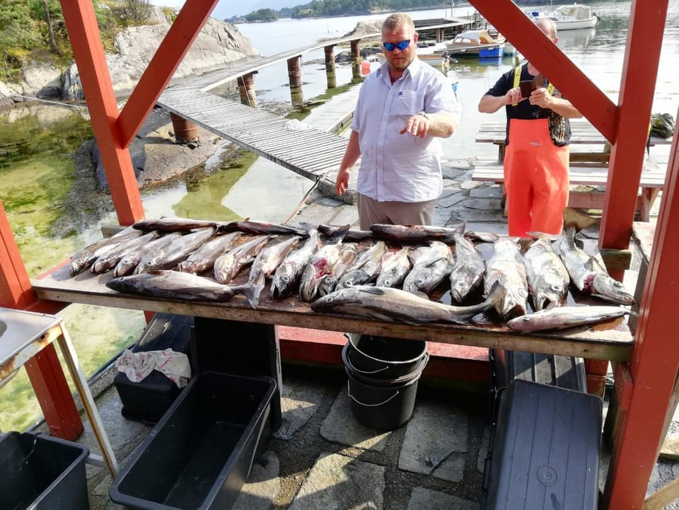Fishing