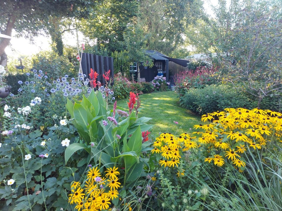 Summer, Garden