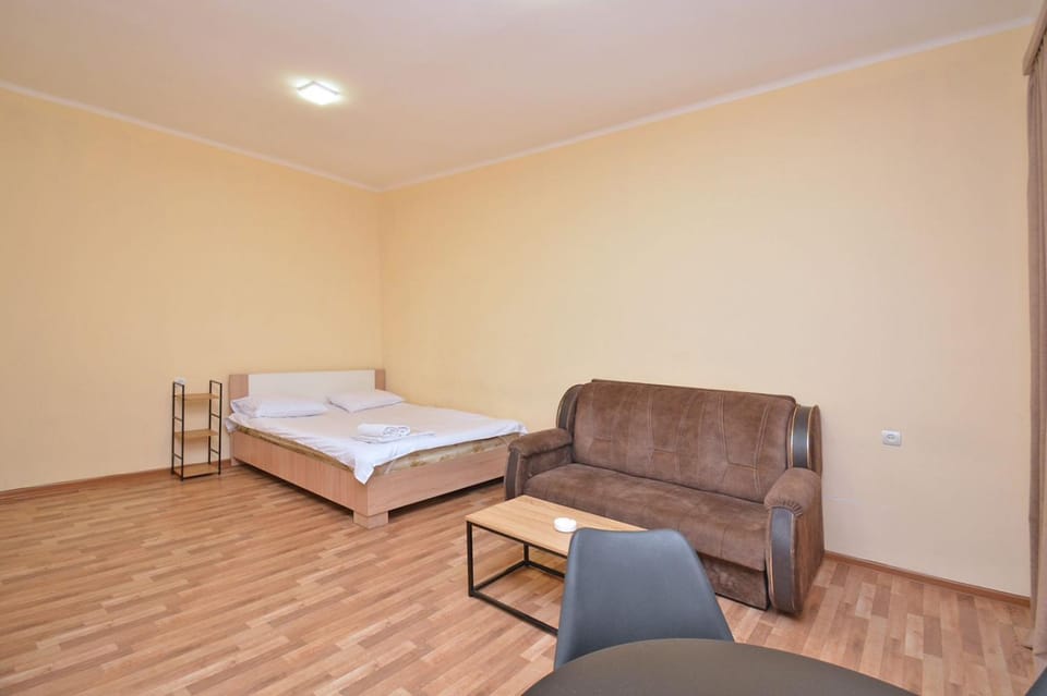 Avchieva's apartment on 24 Saryan street Apartment in Yerevan