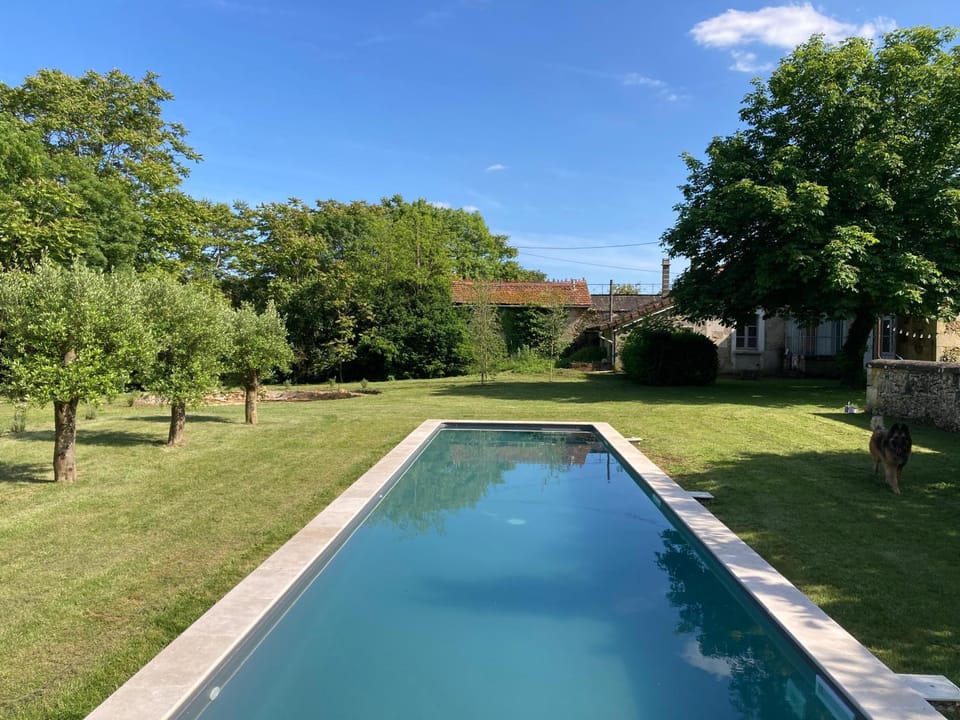 Garden, Garden view, Pool view, Swimming pool