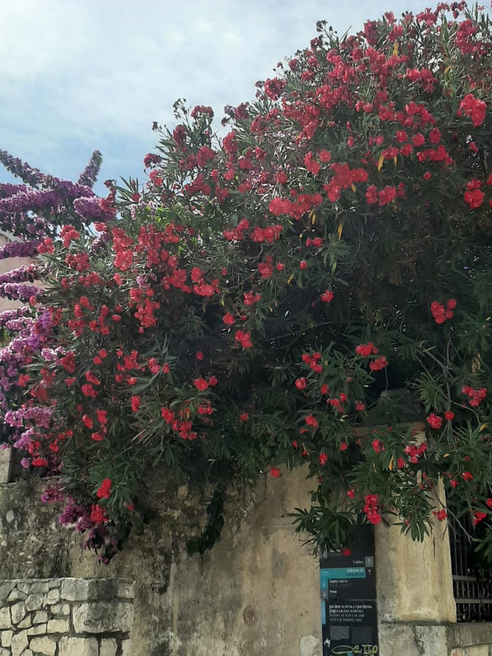 Apartman i soba Nina Apartment in Split-Dalmatia County