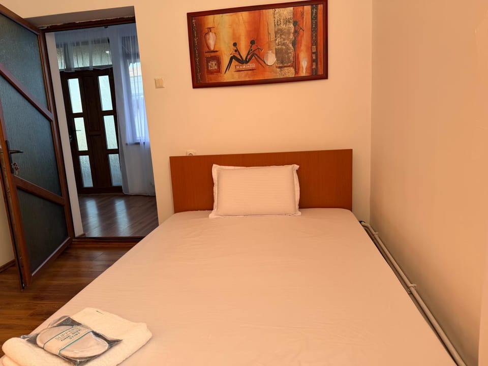Oble Central House Bed and Breakfast in Craiova