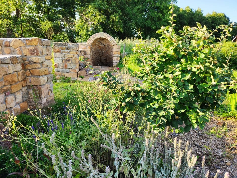 Garden, Garden, Garden view