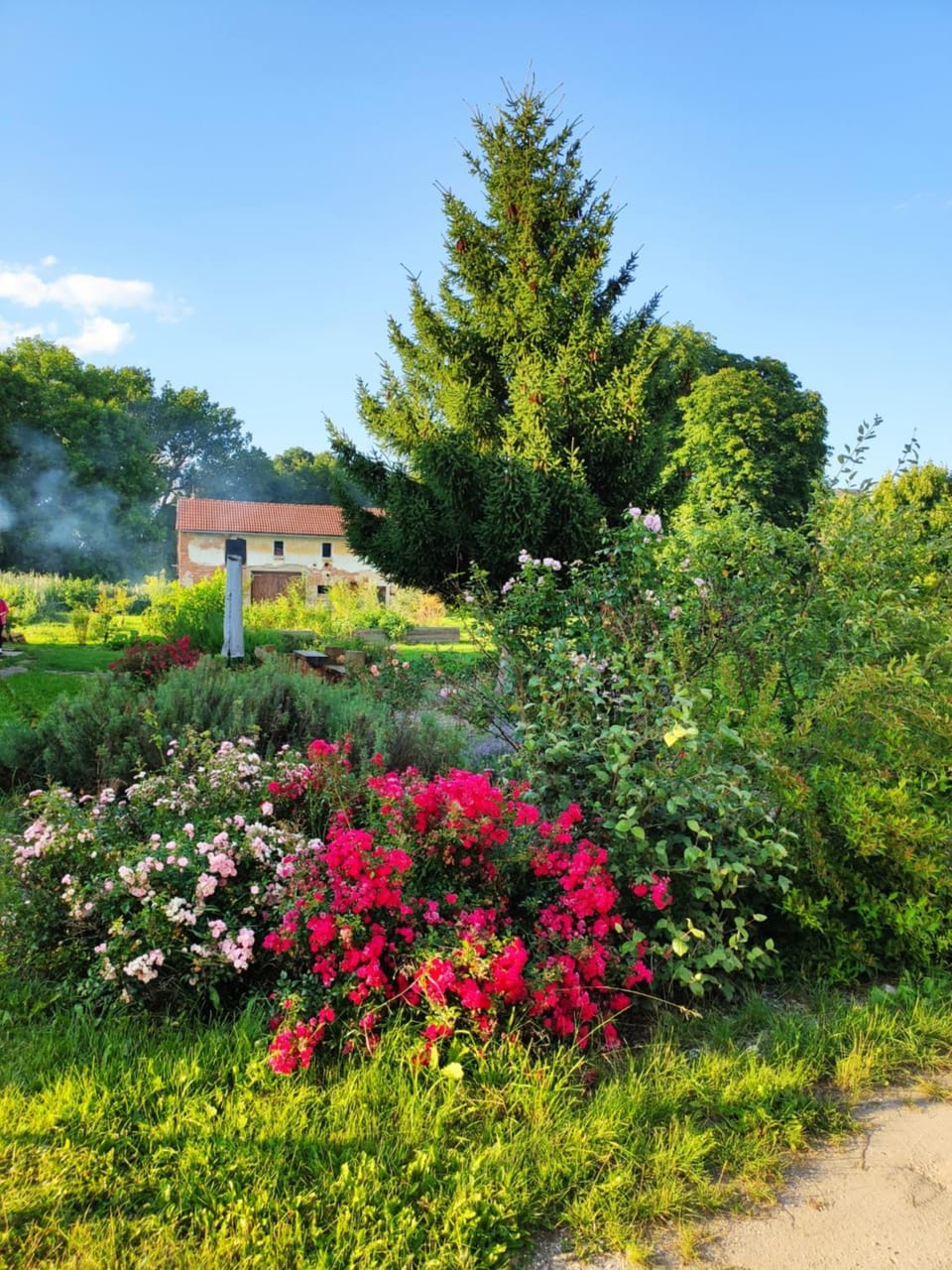 Garden, Garden, Garden view