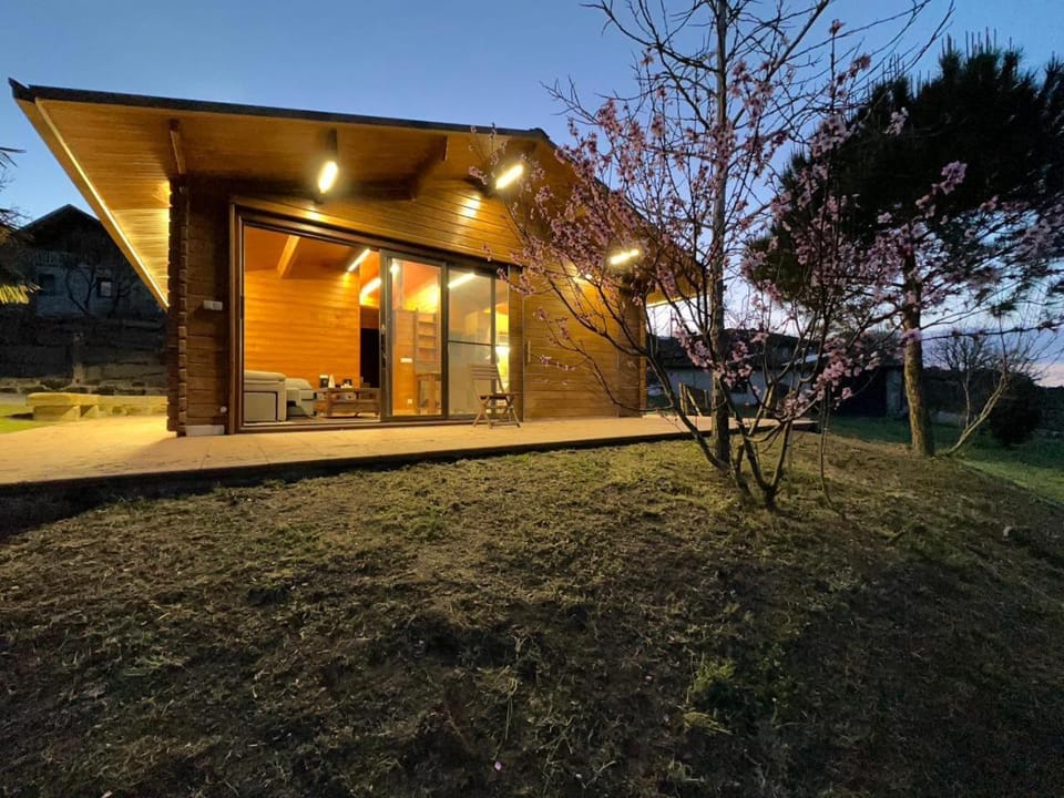 Property building, Night, Garden, Garden, Garden view