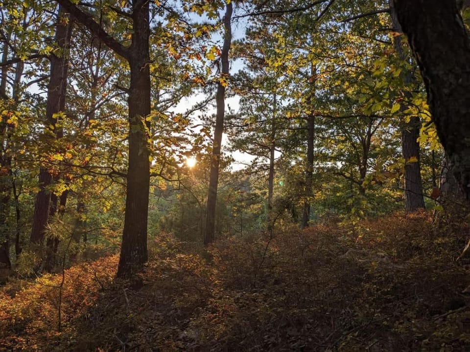 Natural landscape