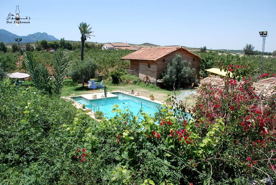 Garden, Garden view, Pool view