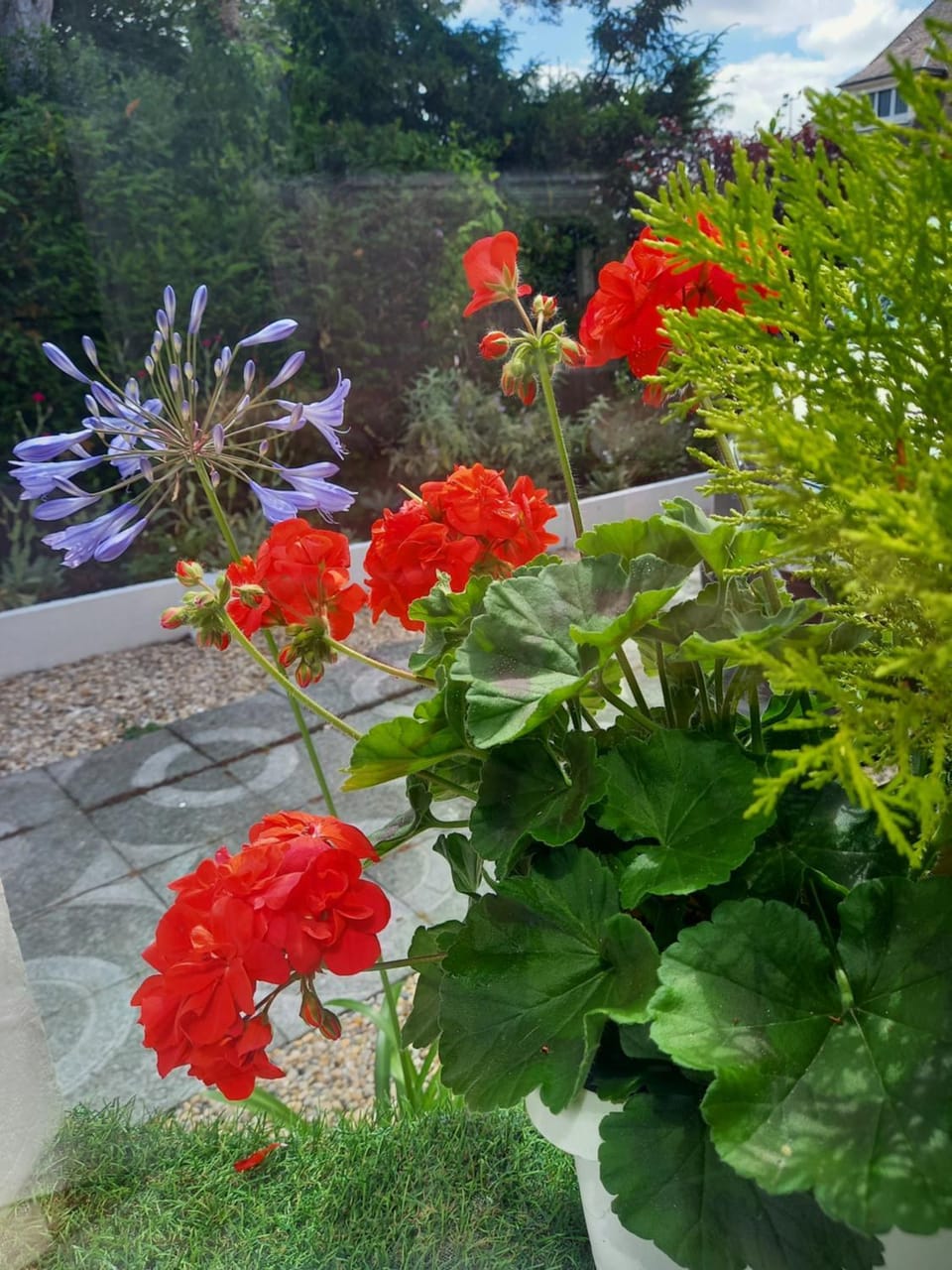 Spring
