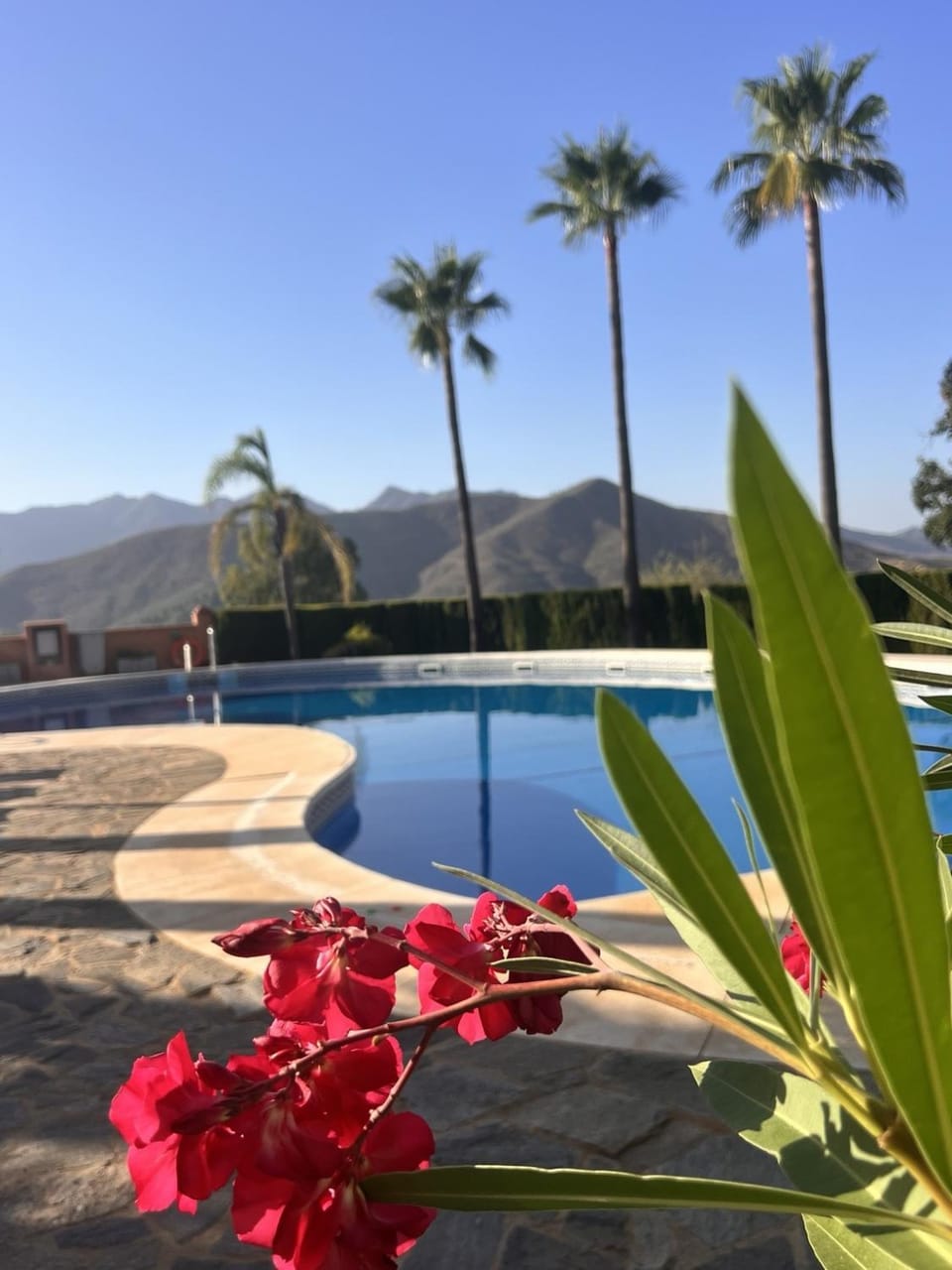 Marbella Hills Private Luxury Suite and Terrace Apartment in Sierra de las Nieves