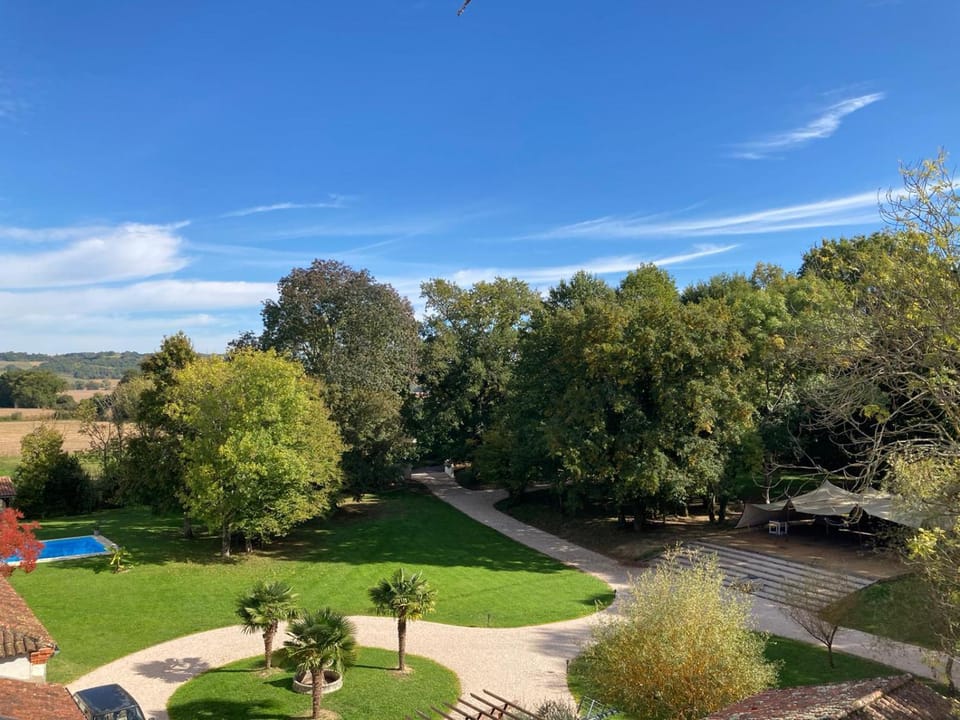 Day, Natural landscape, Garden, Garden view