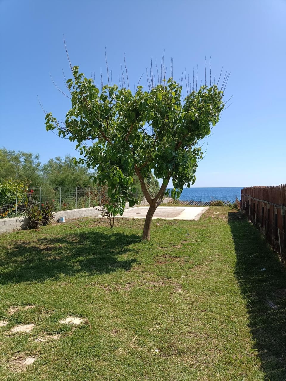 Garden, Sea view