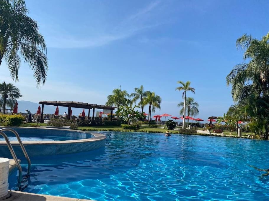 Garden, Garden view, Pool view, Swimming pool, sunbed