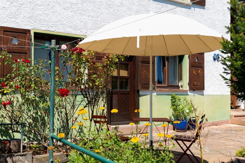 Garden view