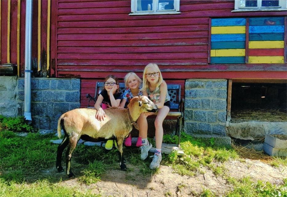 Animals