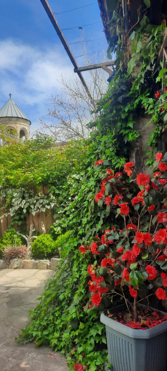 VILLA SABA WITH TWO BEDROOMS- სასტუმრო საბა Villa in Tbilisi