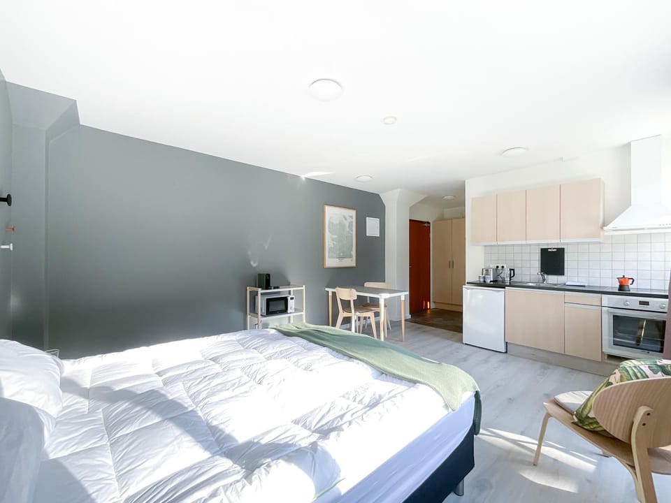 Bed, Kitchen or kitchenette, Photo of the whole room, Dining area, Bedroom, minibar, pet friendly, stove