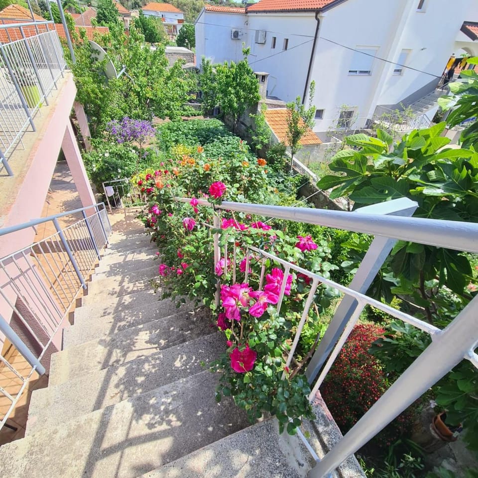 Day, Garden