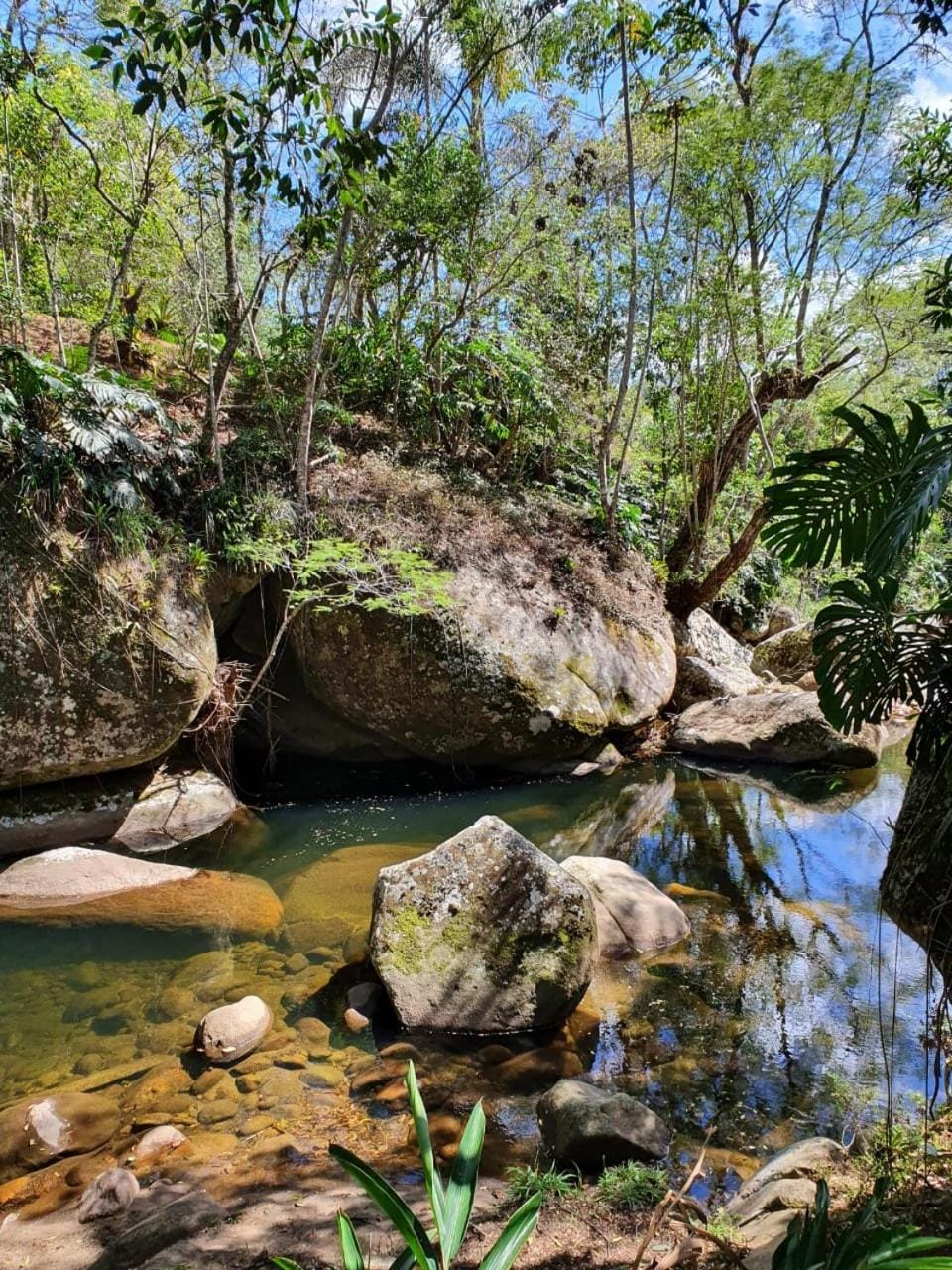 Natural landscape, River view