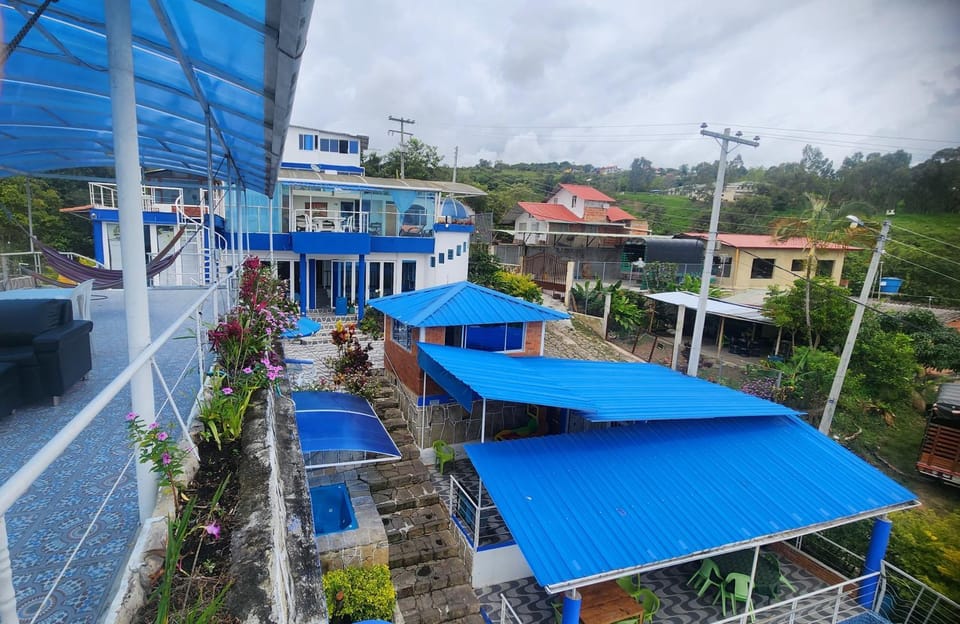 Property building, Garden, Garden view