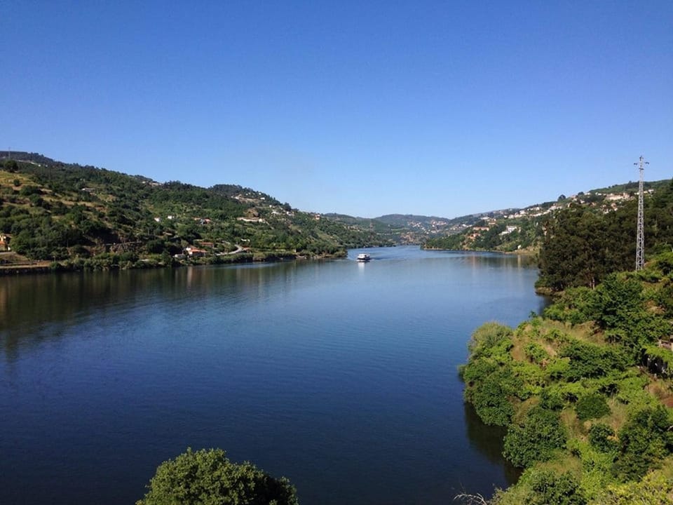 Lake view