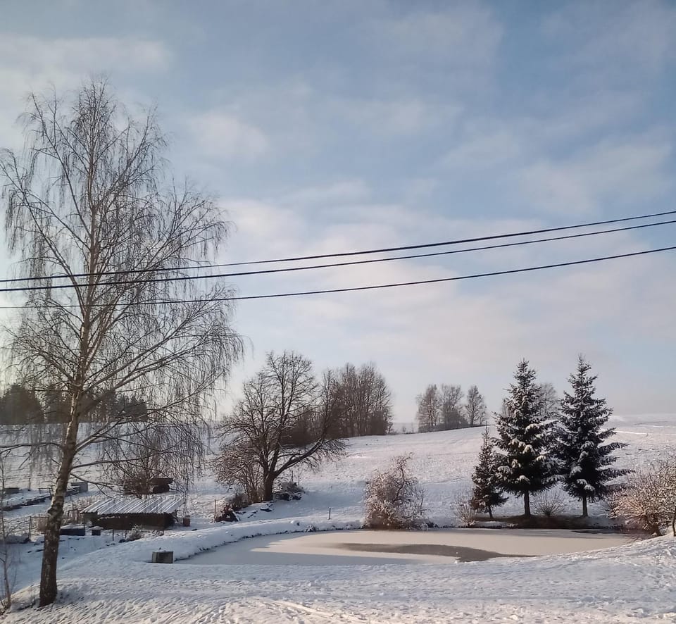 Winter