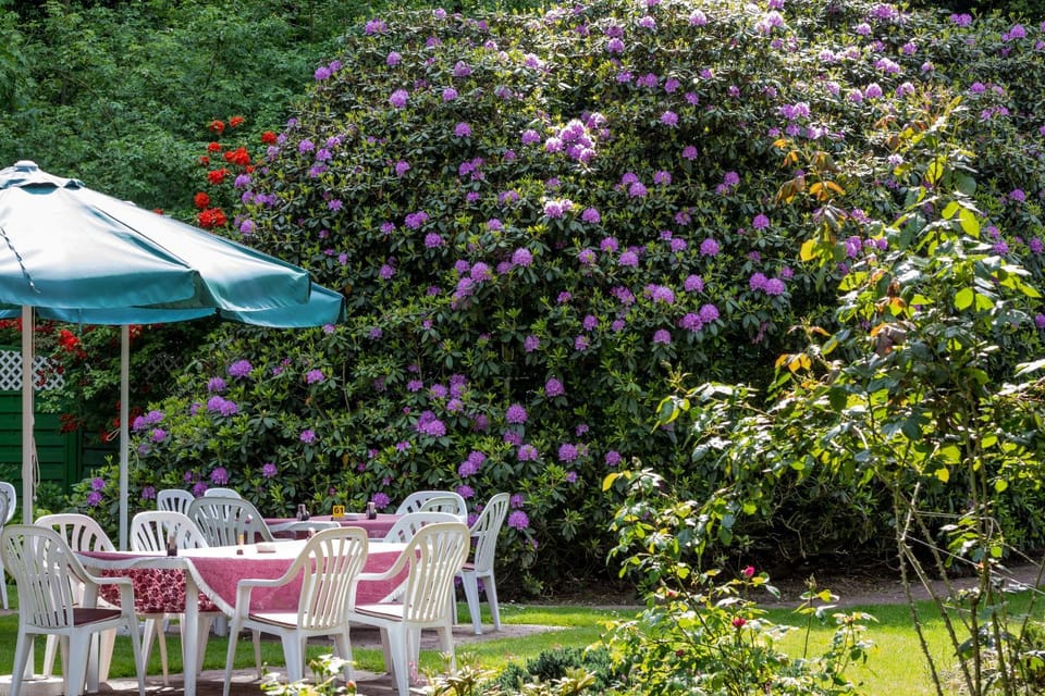 Patio, Spring