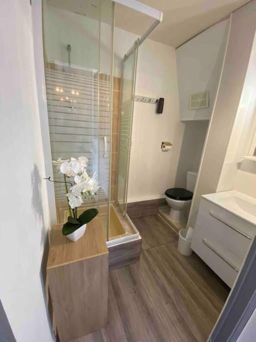 Shower, Toilet, Bathroom