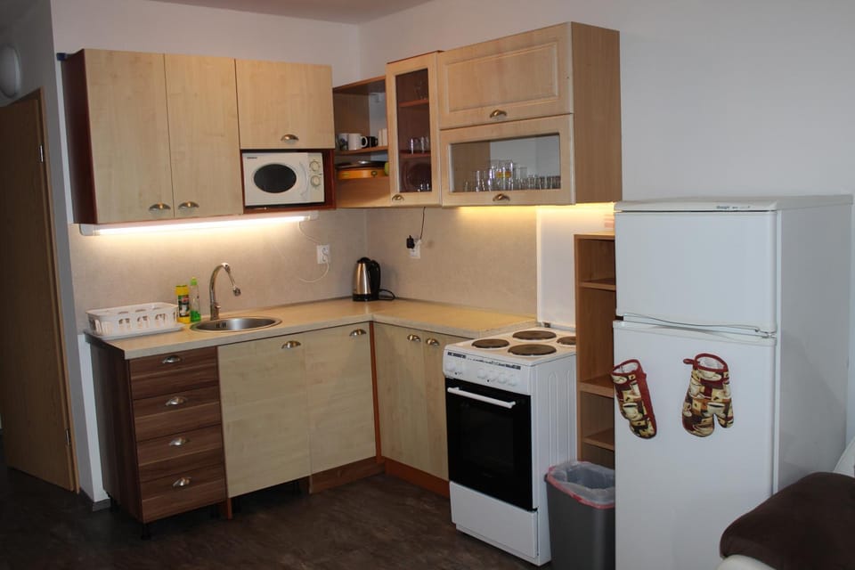 Kitchen or kitchenette, kitchen
