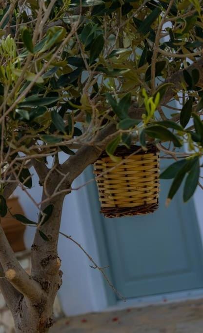 Martha's filoxenia Apartment in Paros, Greece