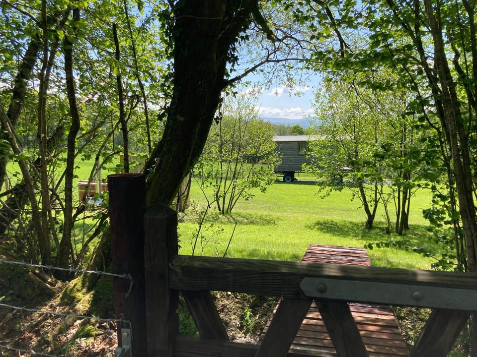 Natural landscape, Garden, Garden view