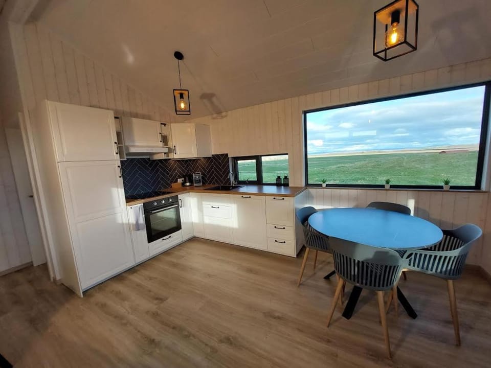 Kitchen or kitchenette, minibar, pet friendly, stove