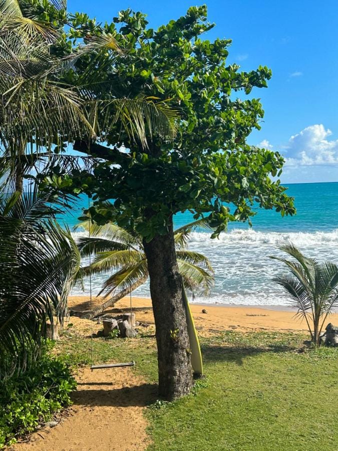 When we say Beach Front, we mean on the BEACH! House in Rio Grande