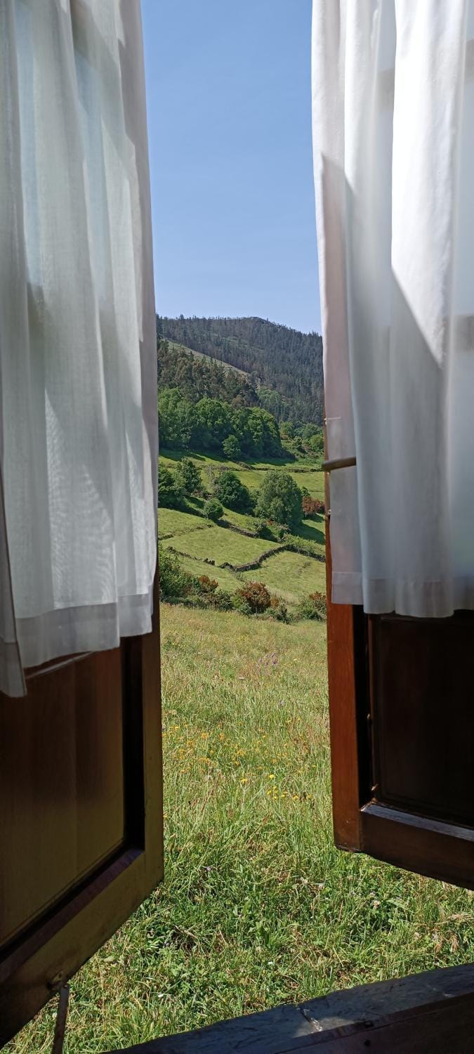 Apartamentos Rurales San Esteban de los Buitres - Illano Apartment in Asturias