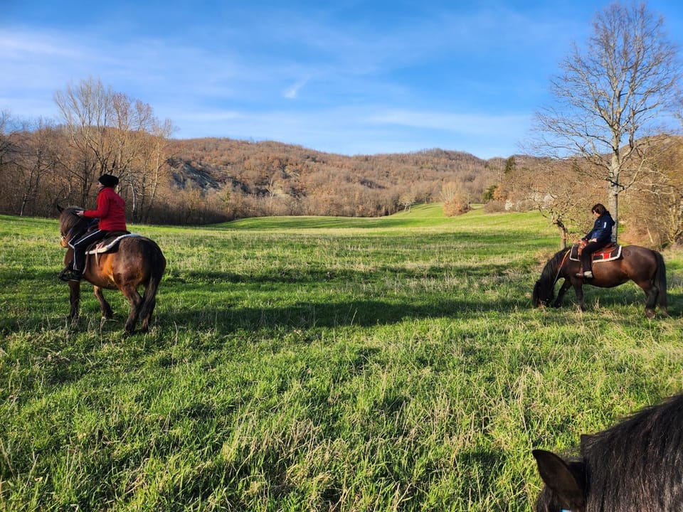 Day, Natural landscape, Horse-riding, Horse-riding, Animals