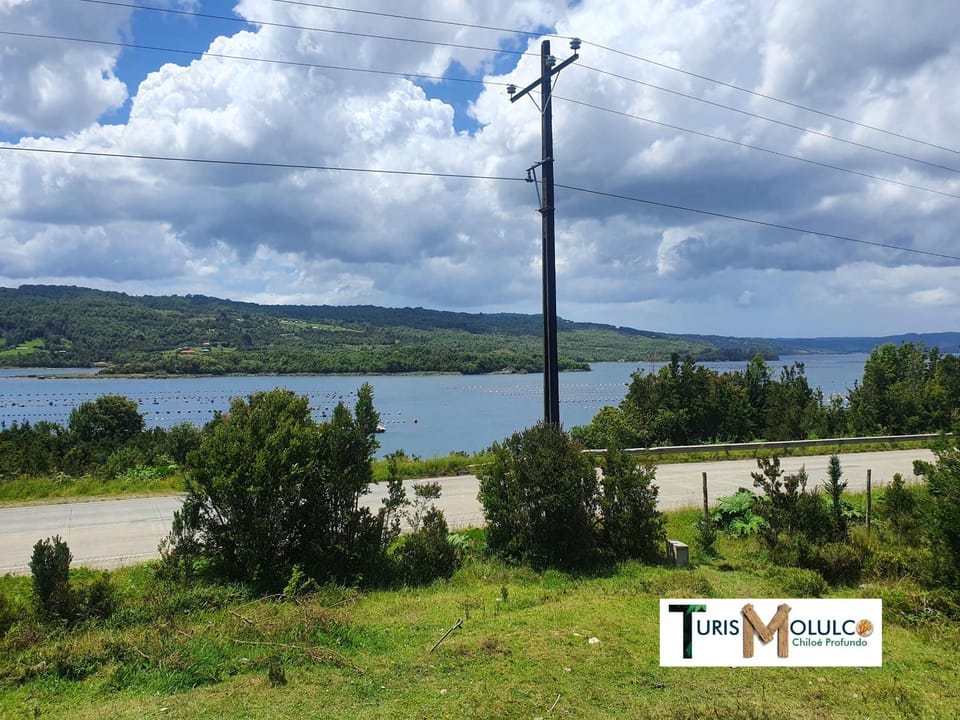 Nearby landmark, Property logo or sign, Logo/Certificate/Sign, Lake view, River view, Street view