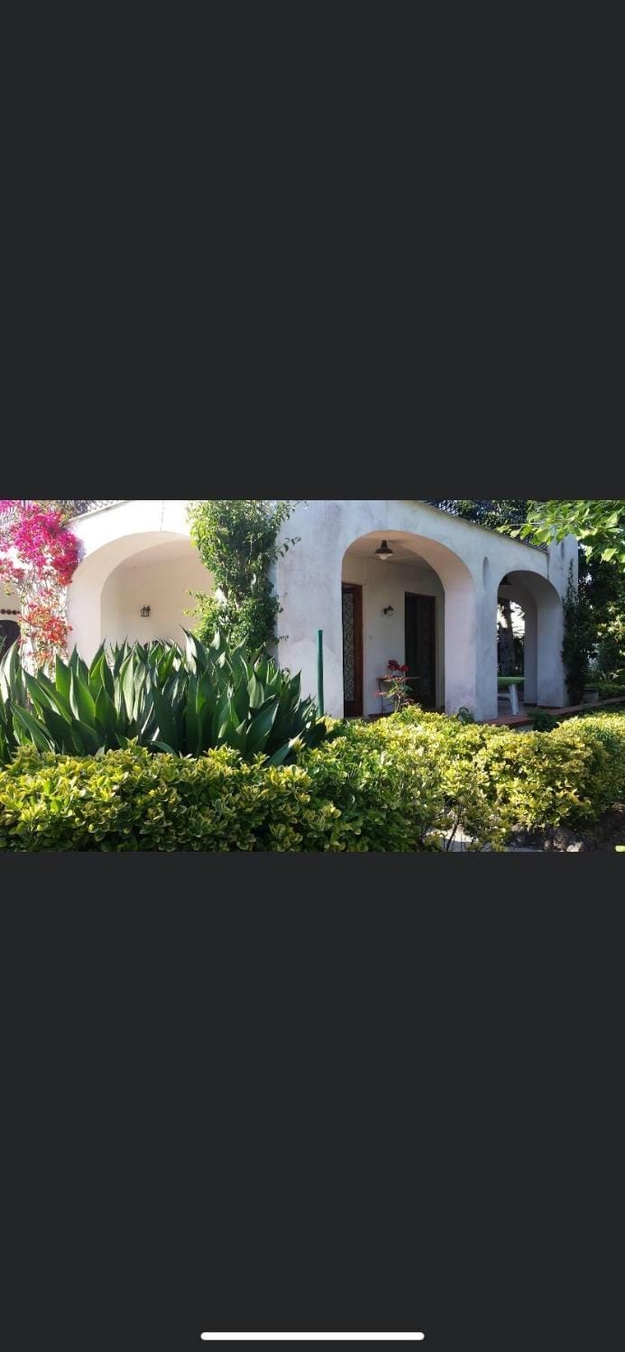 Property building, Garden, Garden view