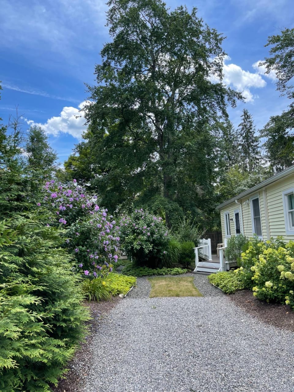 Garden, Parking